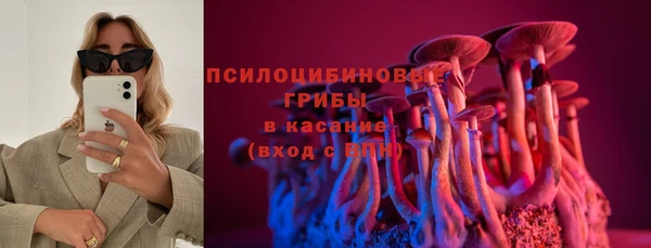 трава Наволоки