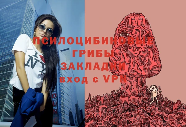 спиды Надым