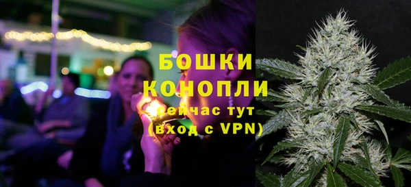 трава Наволоки