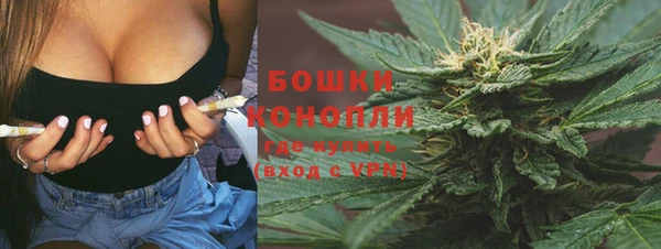 трава Наволоки